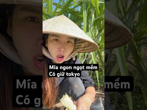 Thành công rực rỡ giữa tokyo