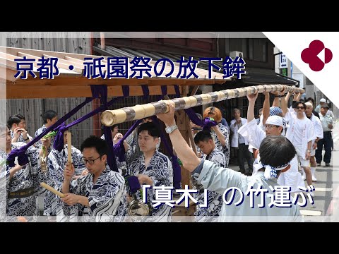 京都・祇園祭の放下鉾　「真木」の竹運ぶ