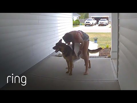 Allie Has The Zoomies! | RingTV