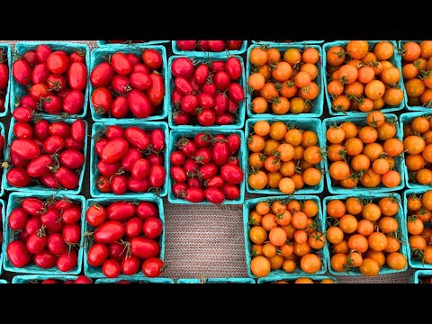 farmer's market