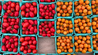 farmer's market
