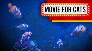 Movie for cats   Clown Fish parade Video for Cats to watch