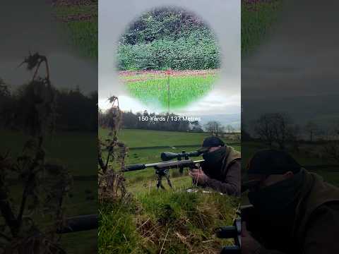 The Silent Assassin .22LR Long Range Rabbit Hunting