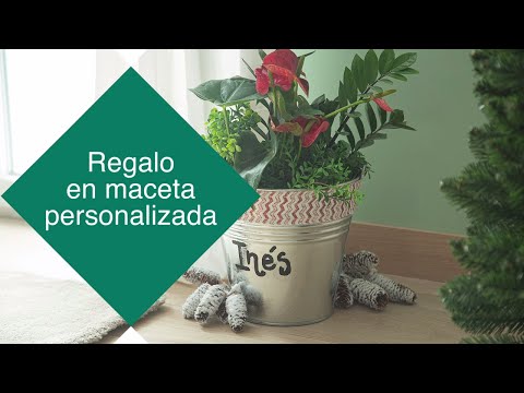 Regalo en maceta personalizada – LEROY MERLIN