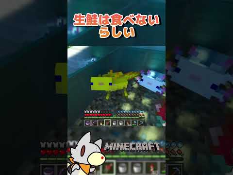 thumbnail_RtHHHgOkjNQ