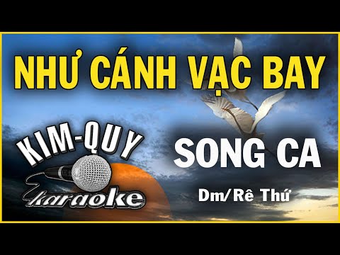 NHƯ CÁNH VẠC BAY – KARAOKE – SONG CA ( Dm/Rê Thứ )