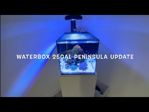Waterbox 25gal Peninsula March 2023 Update! #reefi Hey guys here is an update on the 25gal Waterbox!

I am not sponsored by any company below or in thi