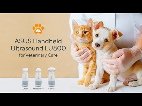 ASUS Handheld Ultrasound LU800 for Veterinary Care - Envisioning the Future of Veterinary Care