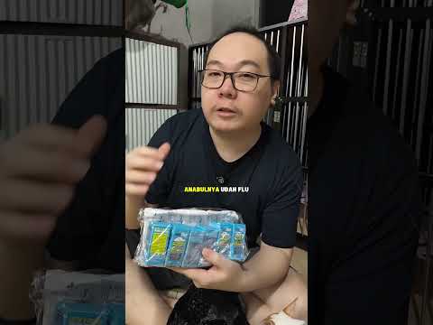 review blue tree flu olive care untuk kucing