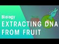 DNA Extraction Techniques and Concepts