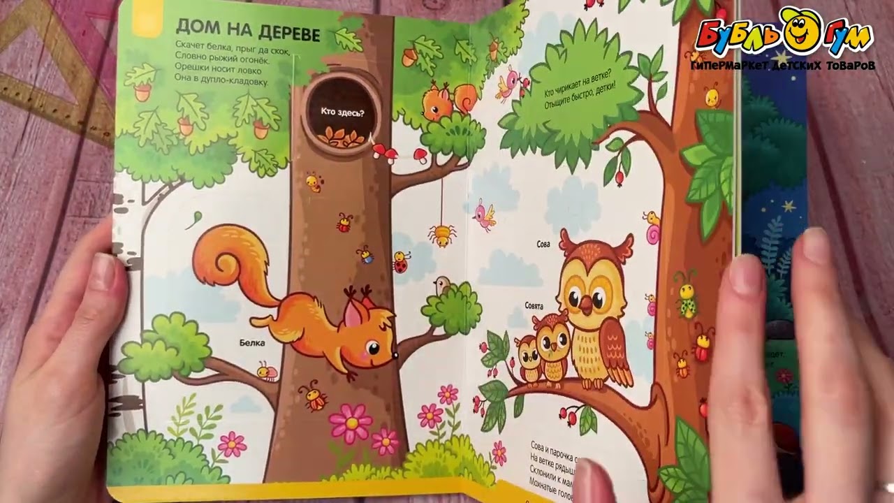 Книга с окошками Играй и учись В лесу 3в1 - видео