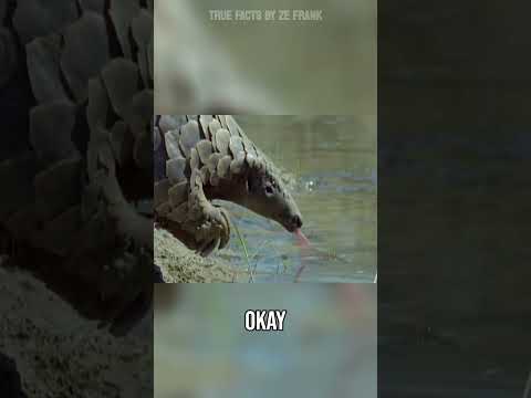 if you know what I mean...