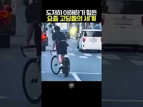 요즘 중고딩들 근황 #한문철 #블랙박스 #교통사고