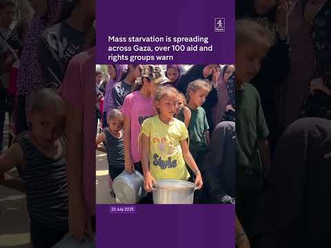 Mass starvation is spreading across Gaza, over 100 aid and rights groups warn