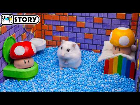 Super Mario Hamster Escape from King Boo Dungeon 🍄 Homura Ham Pets