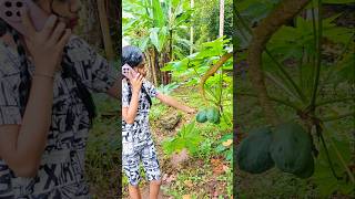 #Tiyakutty കുറെ കാലത്തിനു ശേഷം #പാറുവിനെ #Phone ചെയ്തപ്പോൾ നിങ്ങൾക്ക് നാട് ആണോ അതോ #town ആണോഇഷ്ടം