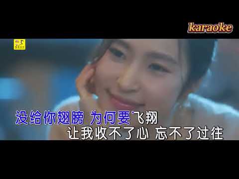 魏佳藝 人間一趟愛你一場karaokeKTV 伴奏 左伴右唱 karaoke 卡拉OK 伴唱 instrumental魏佳藝 人間一趟愛你一場karaoke