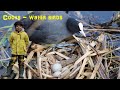 Coots and Their Characteristics
