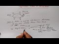 Gyroscopic Effects in Aviation