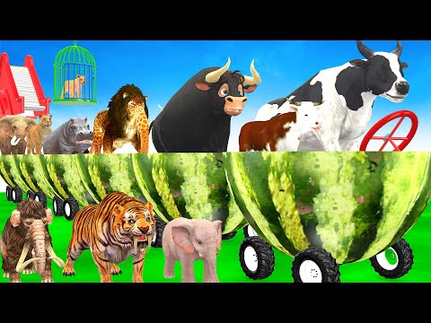 Guess The Right Animal Cage Elephant Cow Tiger Hippo Buffalo Paint Animal Long Slide Fountain Cross