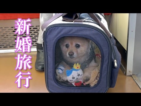 【新婚旅行】愛犬と一緒に泊まれる温泉旅館に行ってきました！