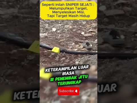 Seperti Inilah SNIPER SEJATI : Melumpuhkan Target,Menyelesikan Misi,Tapi Target Masih Hidup