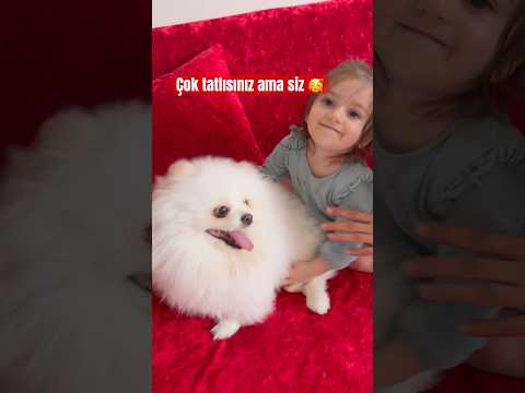 #viralvideo #bebekoyunlari #keşfet #kopeksevgisi