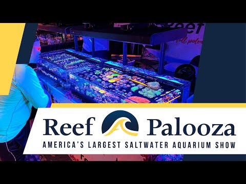 It's Back! Reefapalooza_ America's Largest Saltwat Reefapalooza, America's Largest Saltwater Aquarium Show, is a two day event you don't want to miss. 