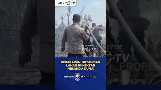 Kebakaran Hutan dan Lahan 10 Hektar Melanda Dumai, Riau #SHORTS