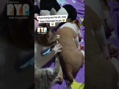 “AYOS PO BA ANG MASSAGE KO, SIR?” | FYP