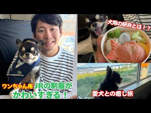 JRわんだフルTRAINと犬用駅弁の楽しみ方を詳しく解説 サムネイル