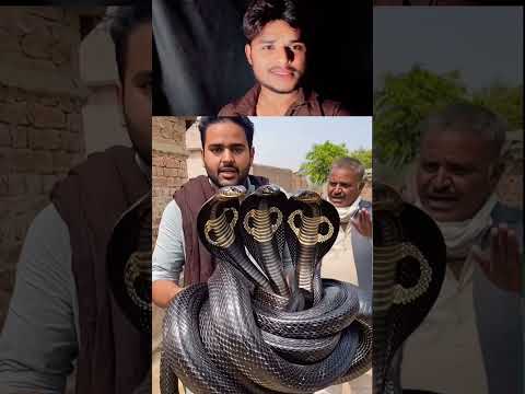 "Insane! Multiple Cobras Caught on Camera | My Reaction | Sora AI #SoraAI#AIgenerated#ReactionVideo