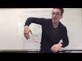 Nerve Anatomy and Functions
