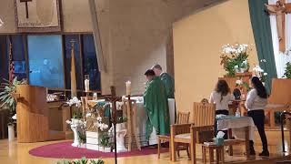 Daile Mass-06/23/2026,Tuesday in the  12th Week Of Ordinary Time