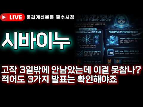 [시바이누 코인전망] 🚨이제 고작 3일밖에 안남았는데 적어도 이 3가지는 확인해야봐야죠