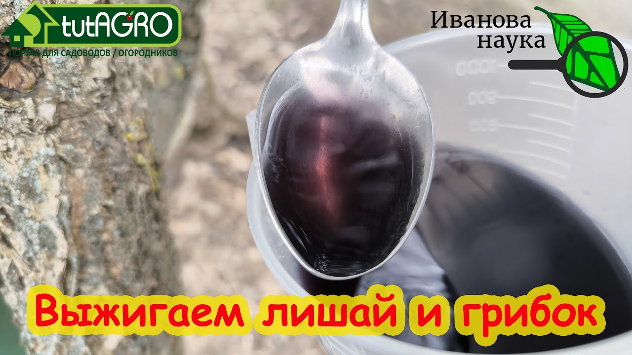 Этот раствор выжигает лишаи, грибок, всю инфекцию и паразитов за 1 раз!