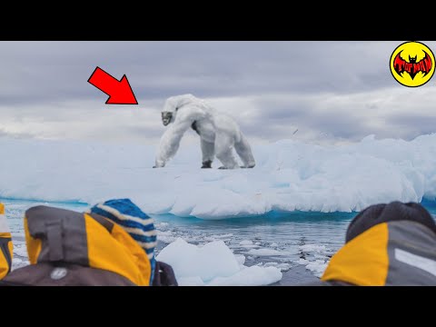 The most chilling Things Seen in the Arctic Circle.