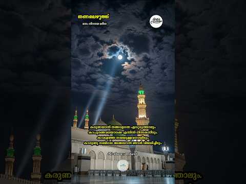 തണലെഴുത്ത് - 242 മനം നിറയെ മദീനാ | #muthnabiﷺ #mrs_rak #madina #foryou #തണലെഴുത്ത് #madhsong