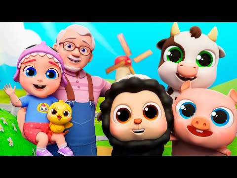 Old MacDonald Had A Farm | Funny Animals | Funny Bunny - Kids Songs Compilation