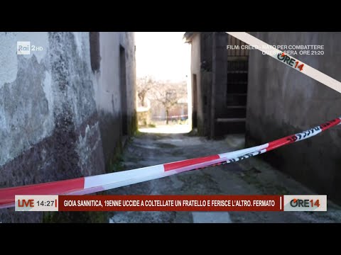 Gioia Sannitica, 19enne uccide a coltellate un fratello e ferisce l'altro - Ore 14 del 15/02/2024