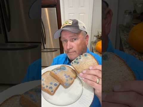 Edible Moldy Bread Props #shorts