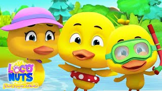 Loco Nuts 🦆 أغنية خمس بطات صغيرة باللغة العربية | أغنية أطفال