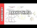 Cardiac Function and Arrhythmias