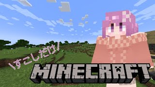【Minecraft】本当に本当に少しだけのマイクラ雑談【穂香てまり/発情レジデンス】