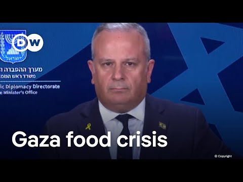 Netanyahu spokesman defends aid blockade, says 'Gaza hunger story engineered by Hamas' | DW News