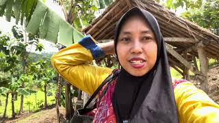 Kegiatan di pagi hari menuju ngasek ka kebon pasir buntu