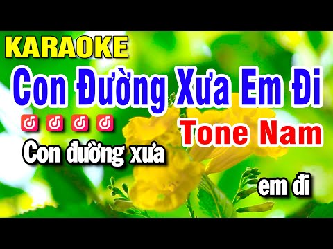 Con Đường Xưa Em Đi Karaoke Tone Nam Nhạc Sống Bm | Huỳnh Lê
