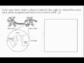 Homeostasis and Feedback Mechanisms