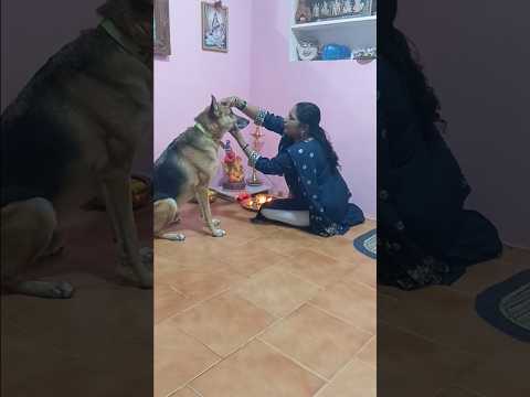 mom praying ganesha and kala bairavar cute #viewer's