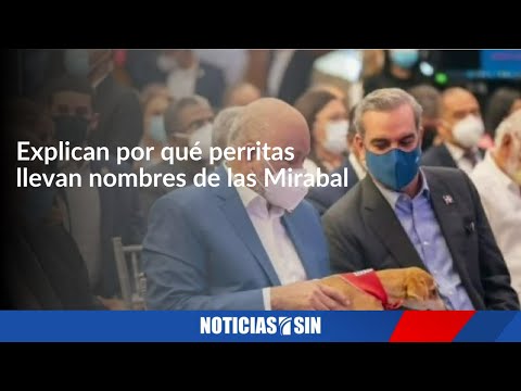 #SINyMuchoMás: Constitución, políticos y tránsito